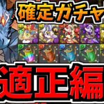 【最適正】これ組もう！精霊コロシアム周回！シヴァドラ編成！代用・立ち回り解説！星を紡ぐ精霊コロシアム【パズドラ】