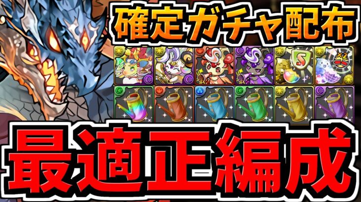 【最適正】これ組もう！精霊コロシアム周回！シヴァドラ編成！代用・立ち回り解説！星を紡ぐ精霊コロシアム【パズドラ】