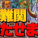 10コンボループで億兆攻略！？トウカの最強性能が環境上位に！これ強すぎるだろｗｗｗ【パズドラ】