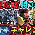 【裏千手チャレンジ】初見攻略！勝つまで！「スキルターン+1/超重力250分の1」裏蒼穹の千龍【パズドラ】