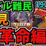 【大革命】ランダン！パズル難民でも19万↑編成！代用・立ち回り解説！ヴェロア杯！ルートパズル【パズドラ】