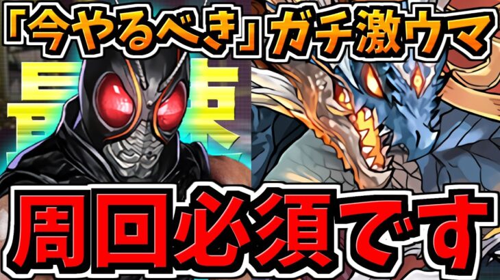 【今やるべき】ガチ激ウマ！周回必須！シヴァドラ&ブラックサン編成！代用・立ち回り解説！BLACKSUN【パズドラ】