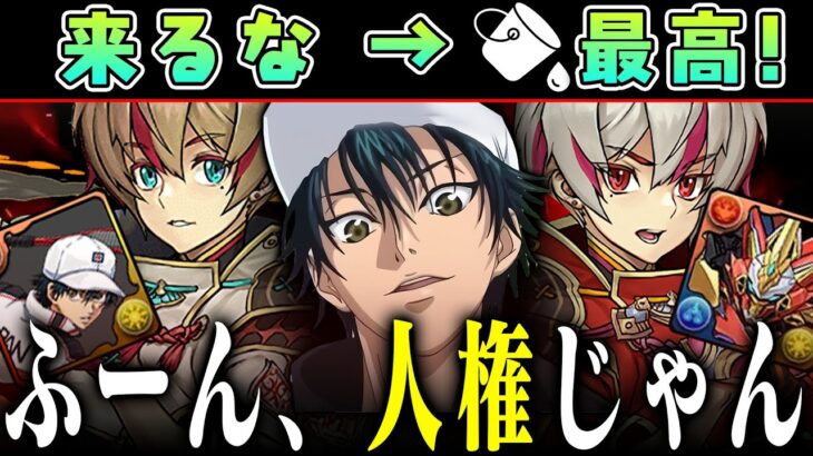【ふーん、人権じゃん】H前リョーマ×ウルフデイトナ大復活【混沌の億兆龍 パズドラ】