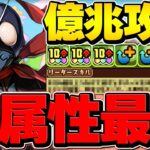 仮面ライダーコートで億兆チャレンジ！木属性最強リーダーに！半減×W吸収が優秀すぎる！【パズドラ】