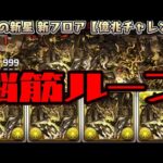 【億兆】アグリゲート脳筋ループがキモすぎるWWWWWW【億兆チャレンジ】【ダックス】【パズドラ実況】