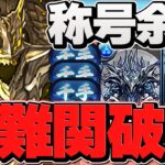 【最適性】裏千手をアグリゲートで安定攻略！代用&立ち回り解説！組めれば勝ちです！！【パズドラ】