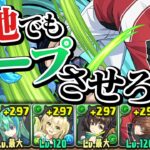 【千手】めちゃ難しいと噂の”裏蒼穹の千龍”初見チャレンジ【パズドラ】
