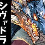 【悲報】シヴァドラ全員クビの可能性。○○の実装に涙が止まらない…【パズドラ】