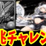 億兆チャレンジのウルトナ潰しがエグい【パズドラ】