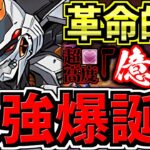 【最強編成が誕生】億兆チャレンジ簡単クリア！デイトナ編成！代用・立ち回り解説！道中サクサク！超絶適正！超高度！混沌の億兆龍【パズドラ】