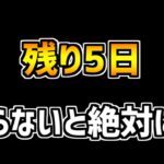 【今すぐ見て】この神イベを逃すと絶対後悔します【パズドラ】