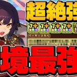 【最強リーダー】セイナで億兆チャレンジ攻略！ユラと合わせて負けません！持ってる人勝ち！！【パズドラ】