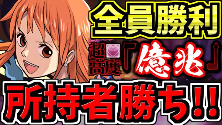 【所持者勝ち】ガチ強い！億兆チャレンジにナミがぶっ刺さり！代用・立ち回り解説！超絶適正！超高度！混沌の億兆龍【パズドラ】