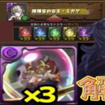 ミカゲ炎上問題の解決案がヤバすぎた【パズドラ】