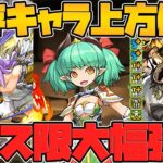 スクルド！ミリー！ダンタリオン！フェス限強化決定！性能解説！+式神色違い進化！【パズドラ】