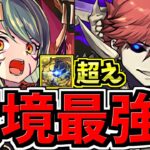 【環境最強】余裕でアグリ超え！トウカ入りムコツ編成！代用・立ち回り解説！億兆！混沌の億兆龍【パズドラ】