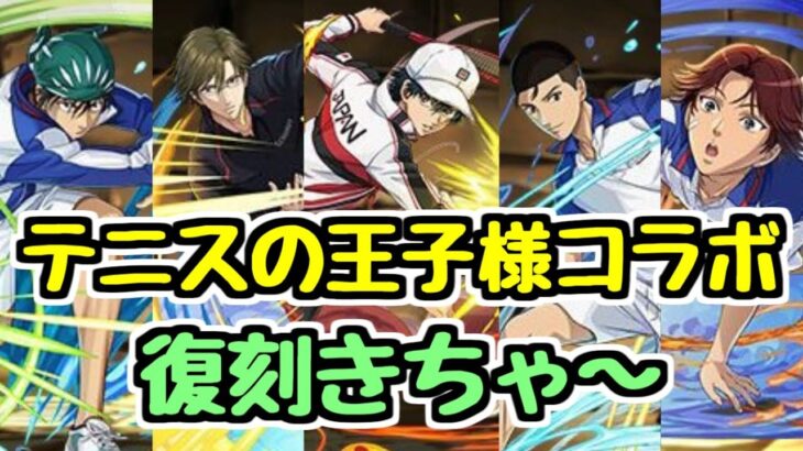 【ムラコ情報】テニスの王子様コラボ復刻！ 新キャラ性能チェック！【パズドラ】