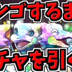 【地獄の石10】ビンゴまでガチャ引く！スーパーゴッドフェス【パズドラ】