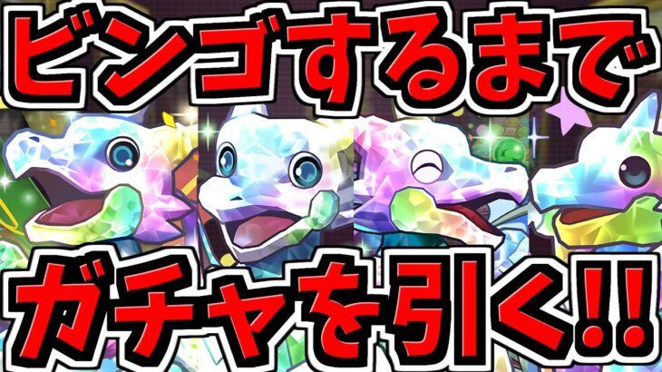 【地獄の石10】ビンゴまでガチャ引く！スーパーゴッドフェス【パズドラ】