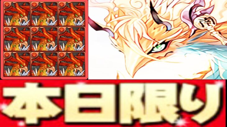 残り12時間！レイランドラゴン作るなら今！【パズドラ 白鯨降臨】