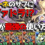 【革命編成】光12個生成が無限にできる、サレーネのサブにシヴァドラを入れるとヤバい【パズドラ】