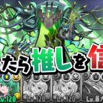 木属性潰しのチャレダン13を木属性でクリアしたい【パズドラ】