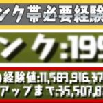 1999 ⁈ ランク上げの裏側がエグすぎる…【パズドラ】
