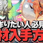この2体は確保必須！レイランバード&メタルスピカ素材集め周回編成紹介！【パズドラ】