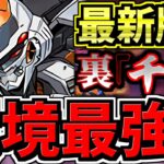【環境最強】最新デイトナが強すぎて裏千手で何しても負けない！編成3パターン！代用たくさん・立ち回り解説！裏千手チャレンジ！裏蒼穹の千龍【パズドラ】