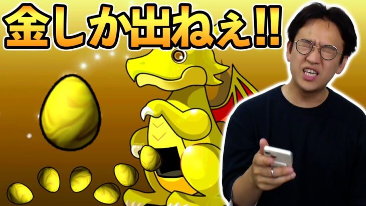 【37連ガチャ】狙えラー＆ホルス!! ヴァイスシュヴァルツ参戦記念カーニバル【パズドラ】
