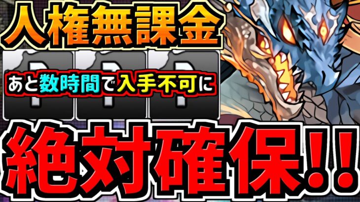 【絶対確保】あと数時間で人権無課金キャラが入手不可に！これ組めば大丈夫です！シヴァドラ編成！代用・立ち回り解説！4編成紹介【パズドラ】