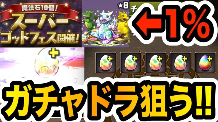 無課金がガチャドラ狙ってなけなしの魔法石をスーパーゴッドフェスに突っ込んだ結果・・・【しげドラ#404】