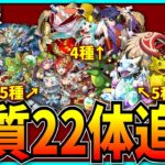 新キャラ5体追加…と思ったら怒涛のアシスト進化で22体になりました。【パズドラ】
