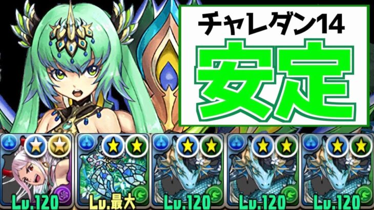 【6月チャレ14】カリンドラゴンループ編成解説！欠損対策もできてボスも10ターン殴れます【パズドラ実況】