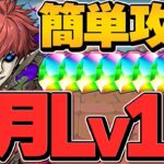 【最適正】ムコツで6月クエストLV15攻略！16分で魔法石15個ゲット！？最強編成！【パズドラ】