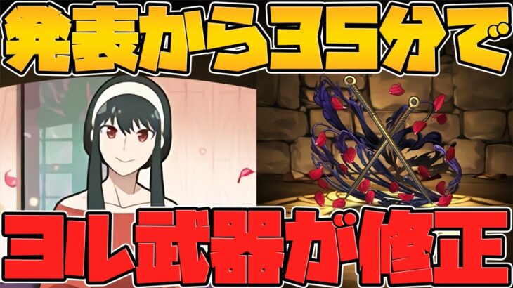 ヨルのアシスト修正がキタ！フォージャー家がどう考えても環境最強！SPY×FAMILYコラボ！【パズドラ】