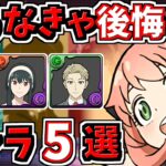 取らなきゃ後悔するキャラ５選！＆スパイファミリー当たりキャラ！SPY×FAMILYコラボ【パズドラ】