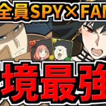 【環境最強】ヨル×ロイド！ほぼ全員SPY×FAMILY編成！代用・立ち回り解説！アーニャ、ボンド、フィオナ！スパイファミリーコラボ【パズドラ】