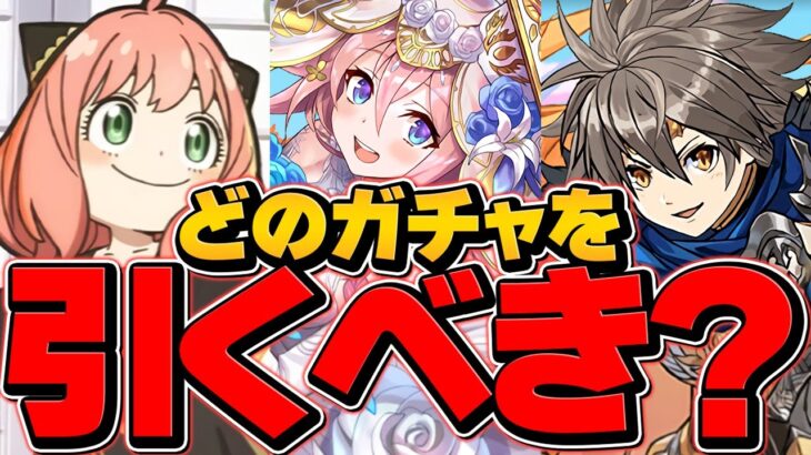 SPY×FAMILY or 神器龍物語 or ジューンブライド どのガチャを引くべき！？【パズドラ】