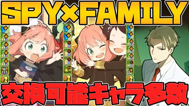 SPY×FAMILY★8新キャラ解説！交換できる！？強キャラ&最強武器多数！期待できるぞ！【パズドラ】