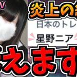 【訴えます】炎上して日本のトレンドになった時の法的措置・立ち回り・代用解説【TinderバレVTuber】