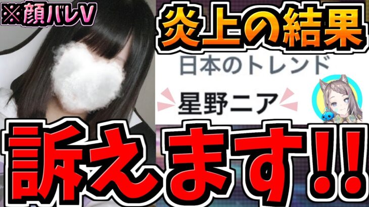 【訴えます】炎上して日本のトレンドになった時の法的措置・立ち回り・代用解説【TinderバレVTuber】