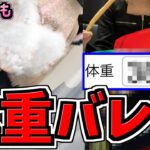 【体重バレV】医者に言われてマックを食らって健康に！個人情報垂れ流しすぎる。〇〇kg【TinderバレVTuber】