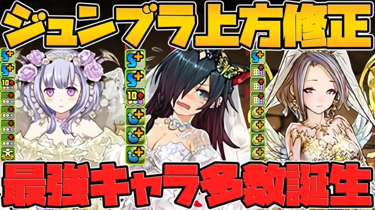 フェノン！ユウリ！ロシェ強化！まさかの最強キャラ誕生！？ジューンブライド既存キャラ解説！【パズドラ】