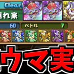 【めっちゃ嬉しい】激ウマ報酬ダンジョンが実装！「虹の彩洞」【パズドラ】