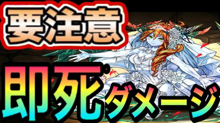 【初見殺し】被害者多数！裏千手超えの大ダメージに要注意！【パズドラ】