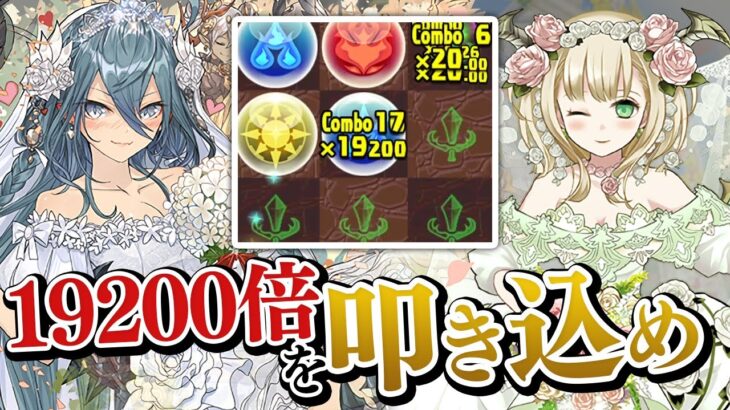 【火力高すぎ】花嫁ゼラ×花嫁フェノンを使ってみたら…【パズドラ】