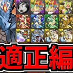 【やらなきゃ損】最適正！神器龍コロシアム周回！シヴァドラ編成！代用・立ち回り解説！神器龍物語【パズドラ】