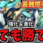 【どこでも勝てる】大幅強化されたノーチラスは最難関も余裕！ノーチラス編成！代用・立ち回り解説！【パズドラ】