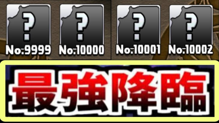 公式サイトに異変⁈史上最強の降臨キャラ実装⁈【パズドラ】